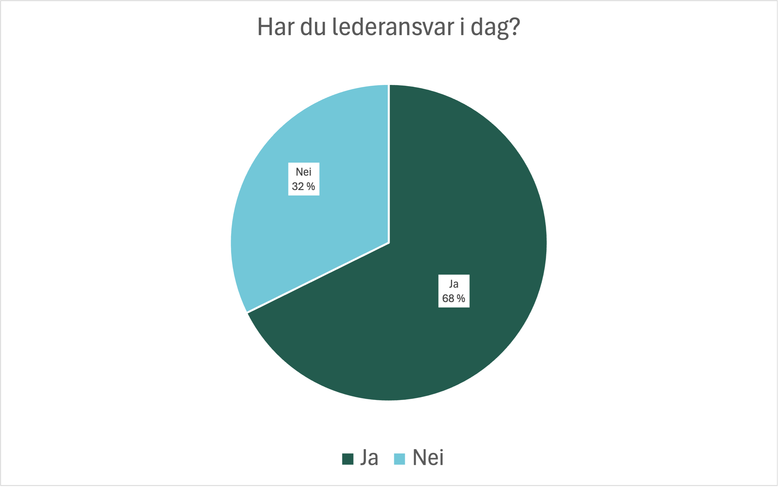 Har du lederansvar?